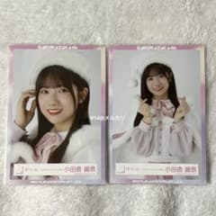 櫻坂46 2023年クリスマスサンタ衣装 生写真 小田倉麗奈 計2枚 - メルカリ