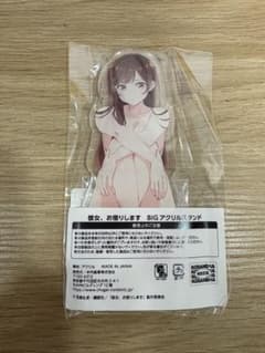 水原千鶴 DMM BIGアクリルスタンド - メルカリ