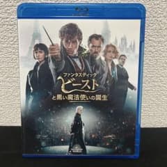 판타스틱 비스트와 검은 마법사의 탄생 블루 레이 & DVD 세트