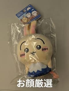 Chiikawa Mt. Fuji Mascot Rabbit - Carefully Selected Faces