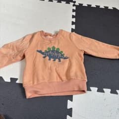 恐竜95 裏ボアあったか　男の子のサムネイル