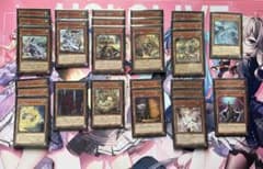 ゆうさん専用 天威相剣デッキ　(大会優勝構築)スリーブ付 最終値下げ　+追加5枚のサムネイル