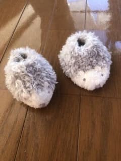 新品！ハリネズミ靴下のサムネイル