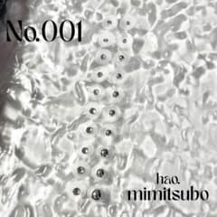 即購入◎■耳つぼジュエリー■20粒チタン ■Silverシンプル■Ｎｏ．001のサムネイル