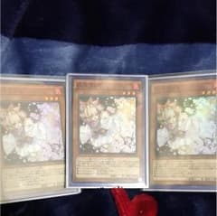 遊戯王 はるうらら 3枚のサムネイル