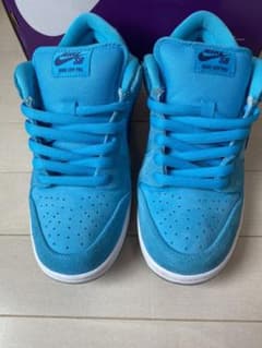 NIKE dunk pro sb ブルーフューリー　27.0のサムネイル