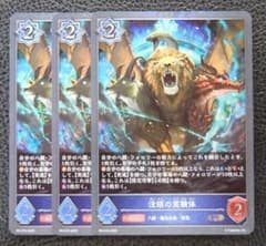 3枚セット】シャドウバースエボルヴ プロモ 没頭の実験体 - メルカリ