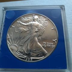 1988年 アメリカンイーグル銀貨　１oz純銀　田中貴金属プラスチックケース入り 1988年 アメリカンイーグル銀貨 1oz純銀 田中貴金属プラスチック