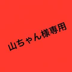 山ちゃん様専用のサムネイル