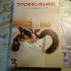 フクロモモンガの時間のサムネイル