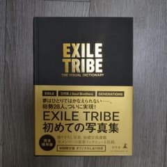 The Visual Dictionary【初回限定版】のサムネイル