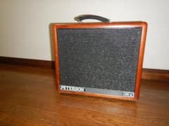 TERSON  Guitar Special P100G MKⅡジャンクのサムネイル