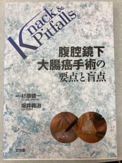 腹腔鏡下大腸癌手術の要点と盲点