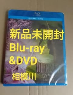 신품 미개봉 위키드 두 사람의 마녀 Blu-ray + DVD