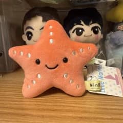海遊館ヒトデぬいぐるみnct127ジャニ ドヨン ジョンウ マーク - メルカリ