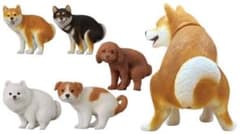 ふんばり〜ぬトイプードル　フィギュア　カプセルトイのサムネイル