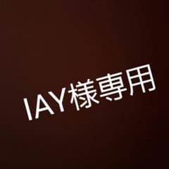 IAY様専用！【本日限定】スカイリムのサムネイル