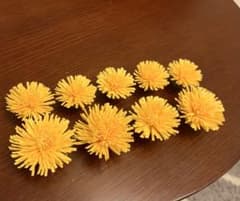 りょーちん様専用たんぽぽのサムネイル