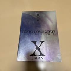 X JAPAN TOKYODOME 2 DAYS 1994年LIVEパンフレットのサムネイル