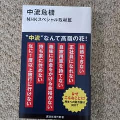 中流危機のサムネイル