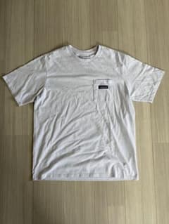 Patagonia パタゴニア ポケット tシャツ ロゴ刺繍 ライトブルーのサムネイル