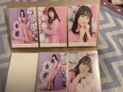 乃木坂46 生写真　掛橋沙耶香　5種コンプ　8thアニバのサムネイル