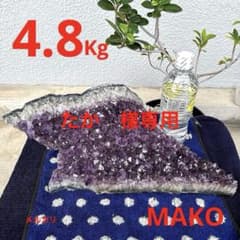 M2063☆アメジストクラスター4.8Kg☆ブラジル産☆天然石☆N60719
