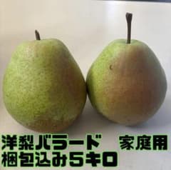 洋梨　５キロ　家庭用のサムネイル