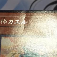 高橋快 様  専用のサムネイル