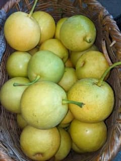 梨 和梨 なつしずく４ｋｇ 岩手県産 減農薬栽培のサムネイル