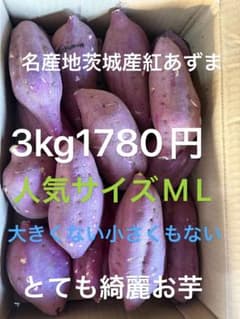 茨城県産 紅あずま 3kg 1780円 人気サイズMLのサムネイル