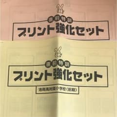 ささき様専用   洛南小学校 直前特訓 プリント強化セット（前期後期）のサムネイル