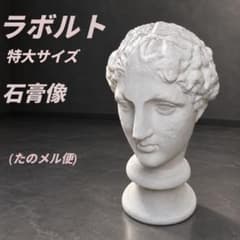石膏像】 ラボルト パルテノン 首像 デッサン 美大受験用(たのメル便