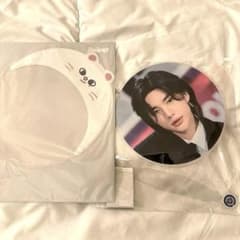 straykids スキズ ヒョンジンうちわ うちわカバー 5starソウルコンのサムネイル