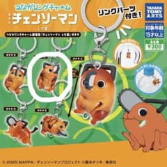 つながリングチャーム めじるしアクセサリー ポチタのサムネイル