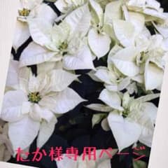 クロムハーツ☆スペーサーringのサムネイル