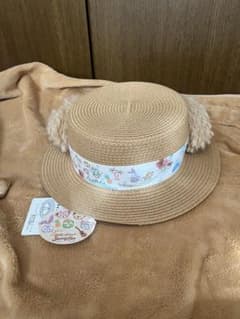 【新品　未使用】東京ディズニーシー ダッフィー＆フレンズ サニーファン ハットのサムネイル