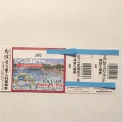 ナガシマスパーランド・ジャンボ海水プール・なばなの里入場券大人1枚のサムネイル