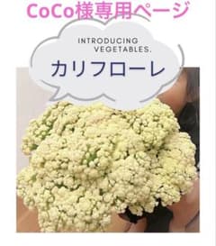 CoCo様専用ページのサムネイル