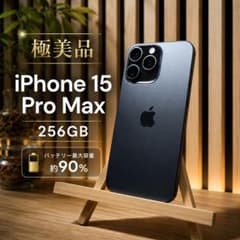 극미품 iPhone 15 Pro Max 256GB 블랙 티타늄