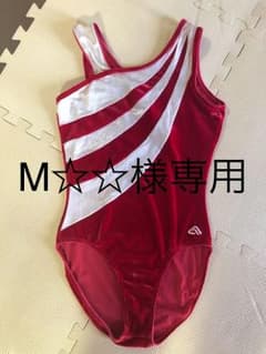 器械体操レオタード アルファファクターのサムネイル