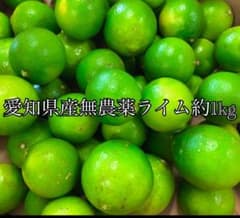 Approximately 1 kg of pesticide-free limes from Aichi Prefecture.