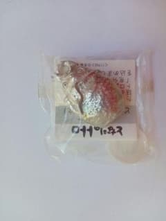 지브리 이웃집 토토로 큰 토토로에 도토리 봉지 (격레어)