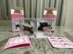 Mellody Mello Bean Cozy Series フィギュア 2体のサムネイル