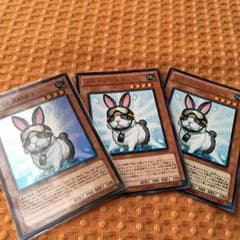 遊戯王 レスキューラビット 3枚セットのサムネイル