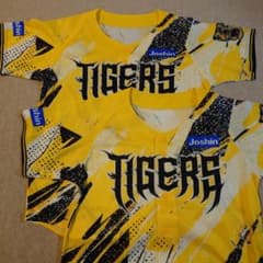 阪神タイガース ウル虎の夏 ユニフォーム 2枚セットのサムネイル