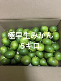 極早生みかん 5キロのサムネイル
