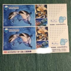 新江の島水族館　チケット2枚のサムネイル