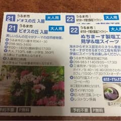 翌日発送中様専用    沖縄クーポンのサムネイル