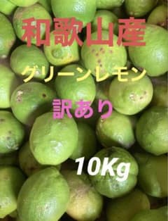 和歌山産 グリーンレモン 訳あり 10Kgのサムネイル